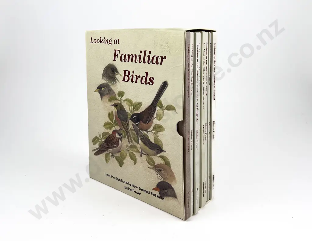 Looking At Familiar Birds by Elaine Power (boxed) Image 1++
