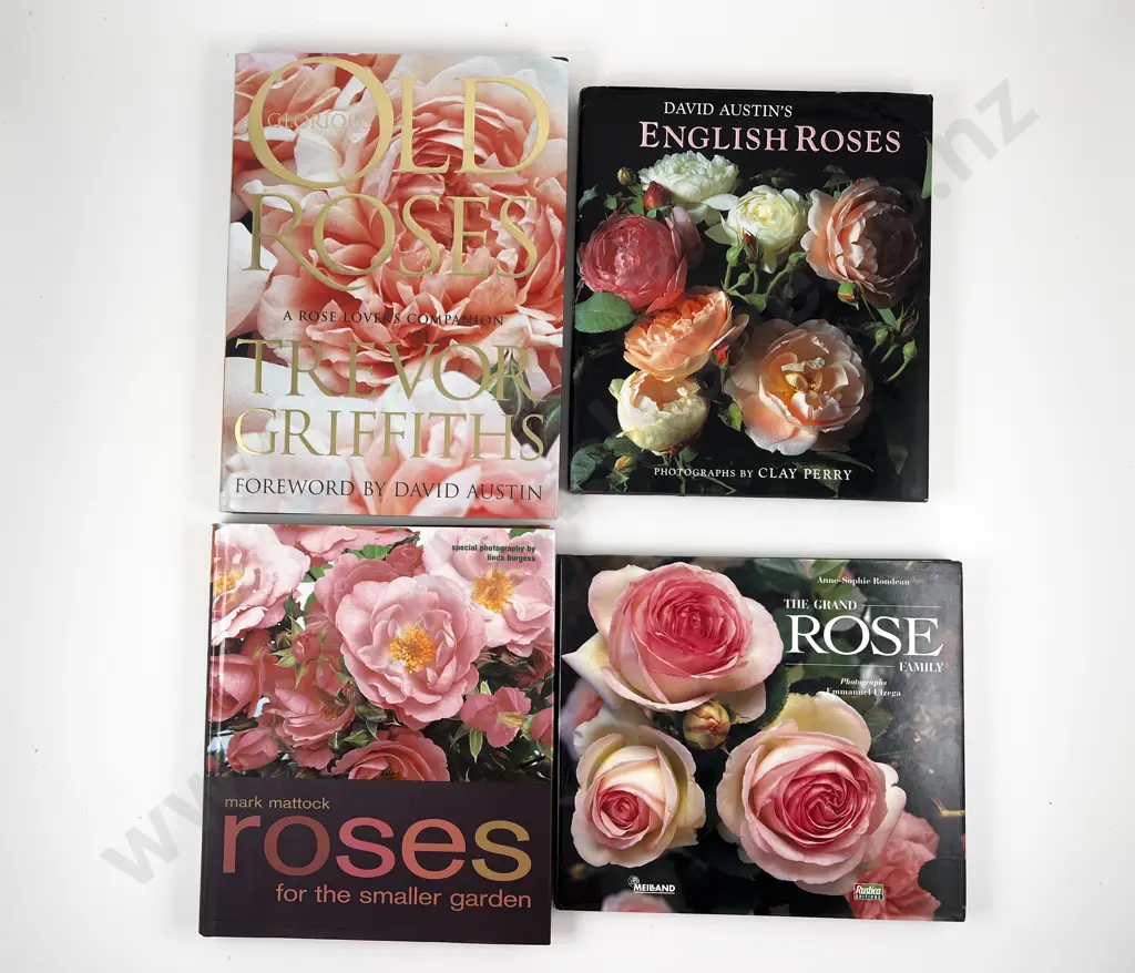 David Austin's English Roses & Three Others Image 1++