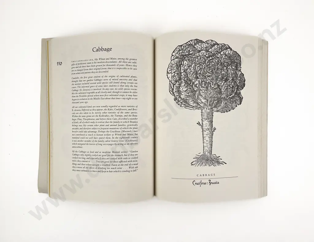 Herbal By Joseph Wood Krutch Image 1++
