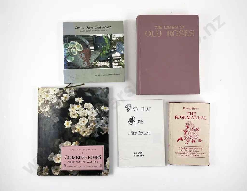 The Charm of Old Roses by Nancy Steen & Four Others Image 1++