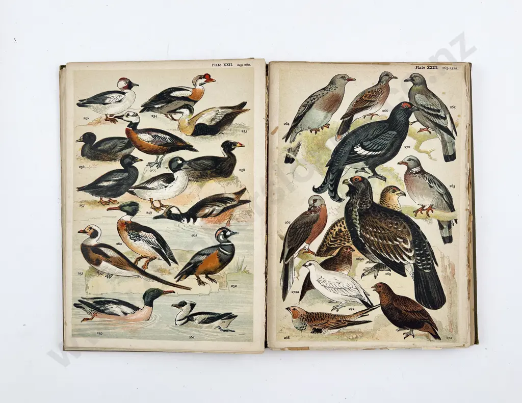 Five Vintage Gardening Related Books Image 1++
