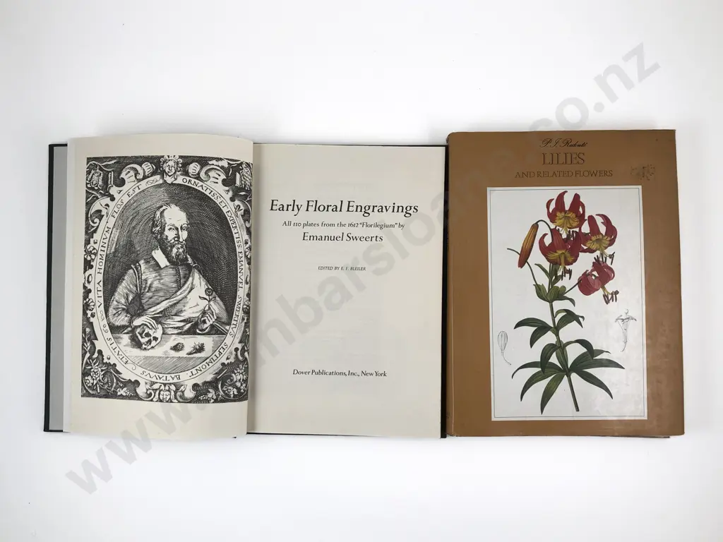 Early Floral Engravings by E Sweerts & Lillies & Related Flowers by P J Redoute Image 1++