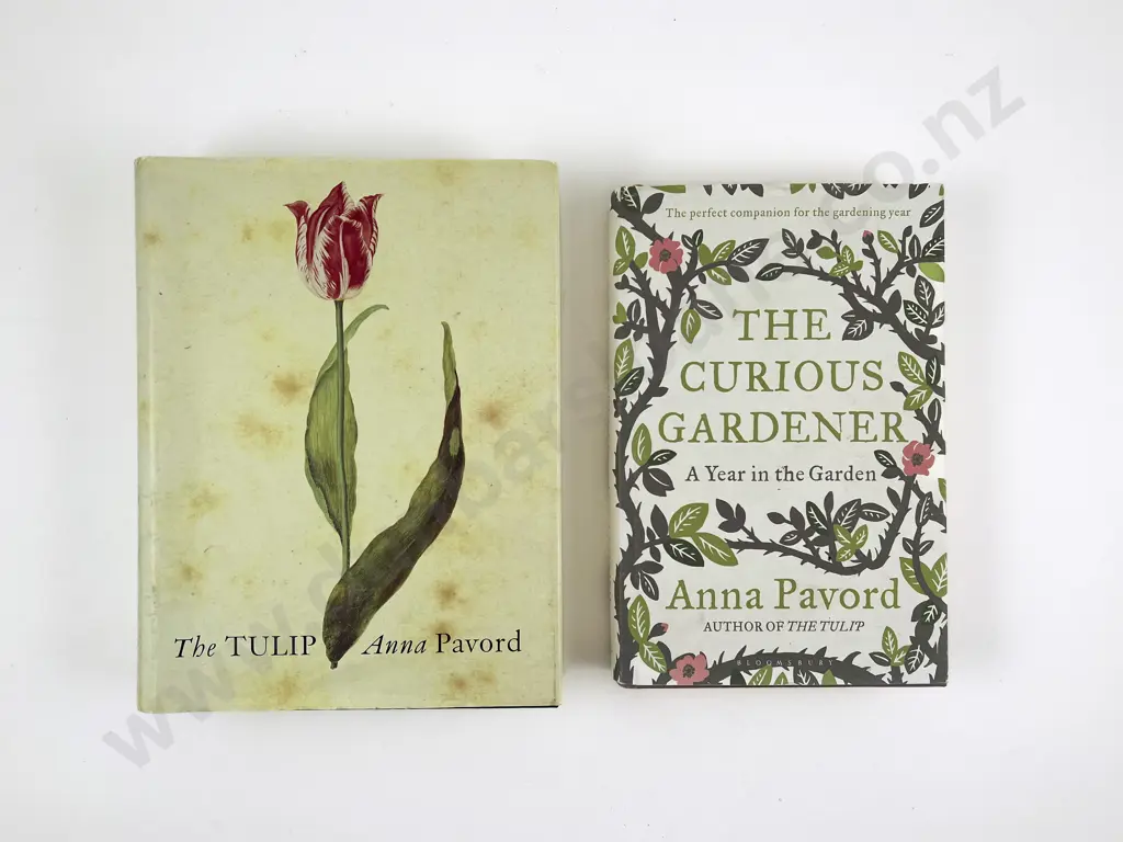 The Tulip Image 1++