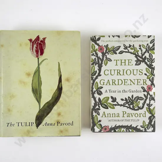 The Tulip