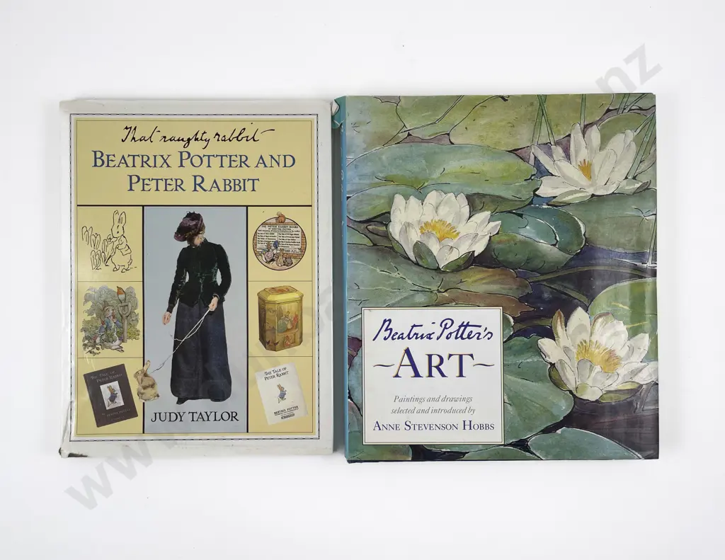 Beatrix Potter's Art by A S Hobbs Image 1++
