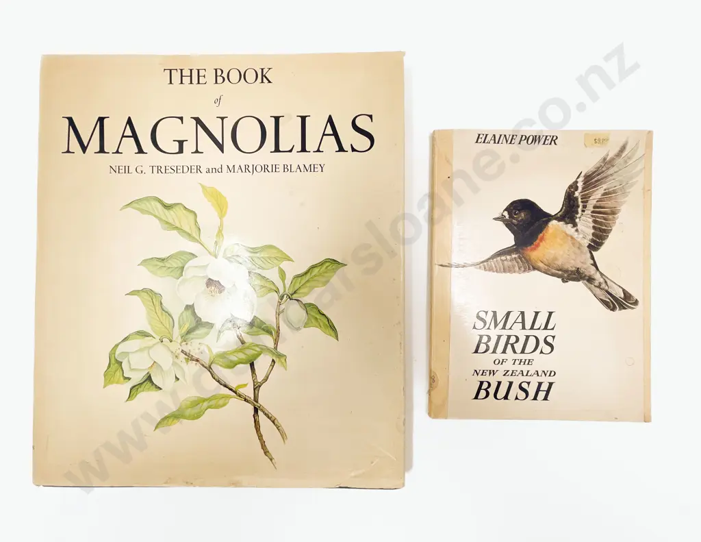 Japonica Magnifica Image 1++