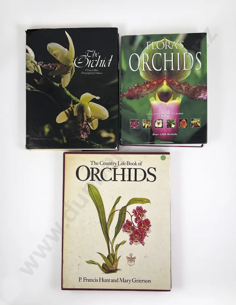 Three Large Volumes Relating To Orchids Image 1++