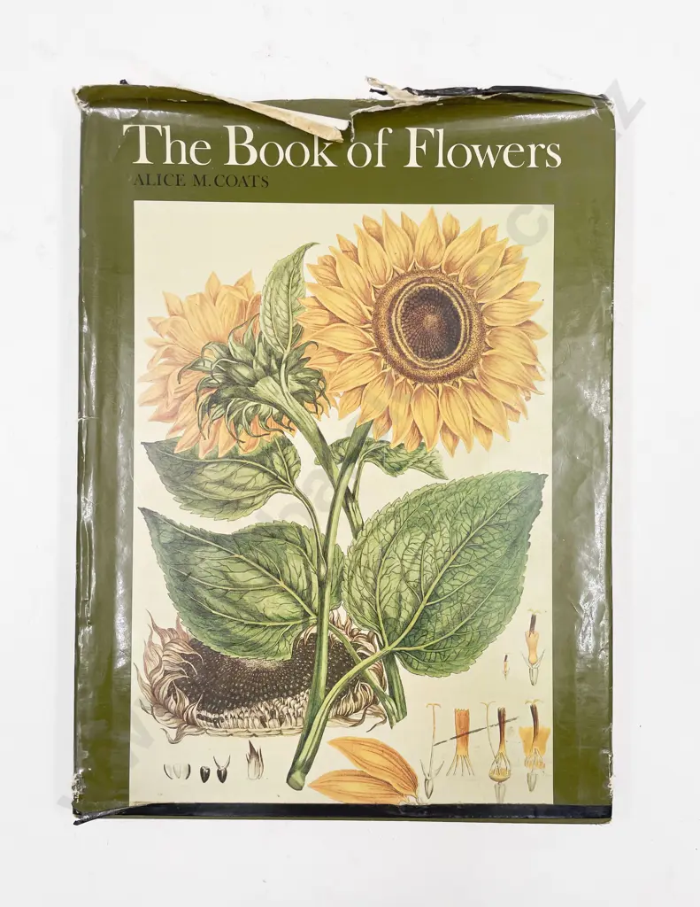The Book of Flowers by Alice M Coats Image 1++