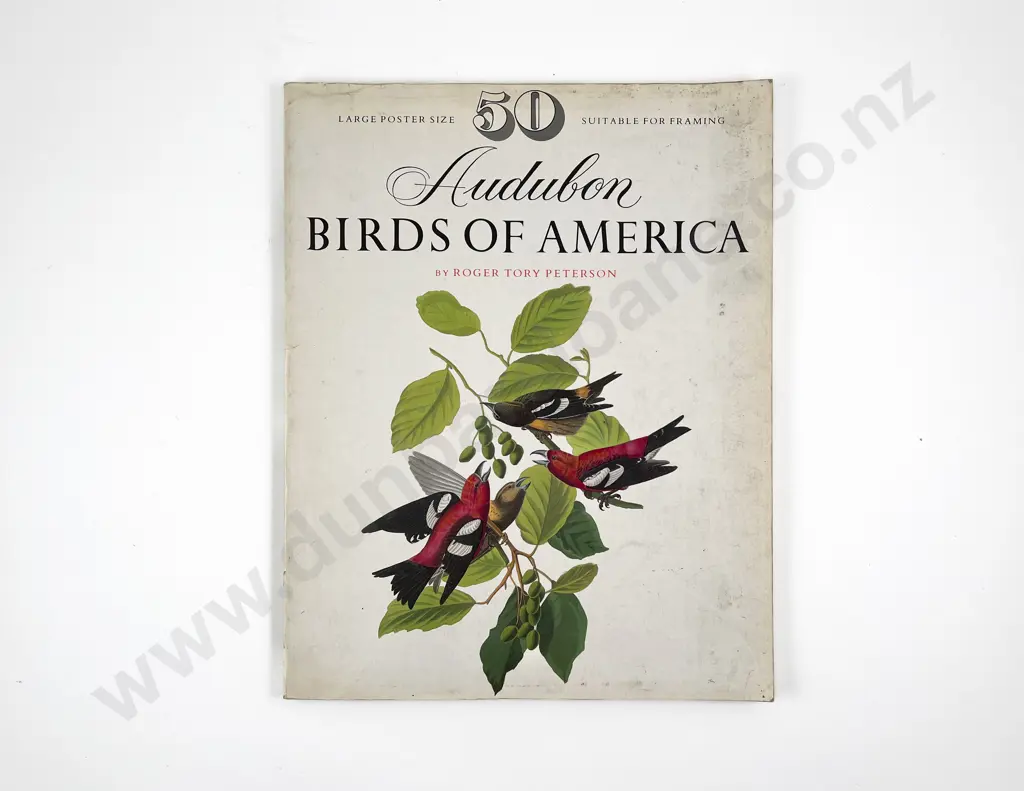 Audubon Birds of America by R T Peterson Image 1++