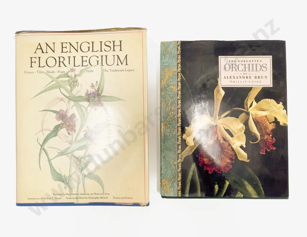 The Forgotten Orchids of Alexandre Brun Image 1++
