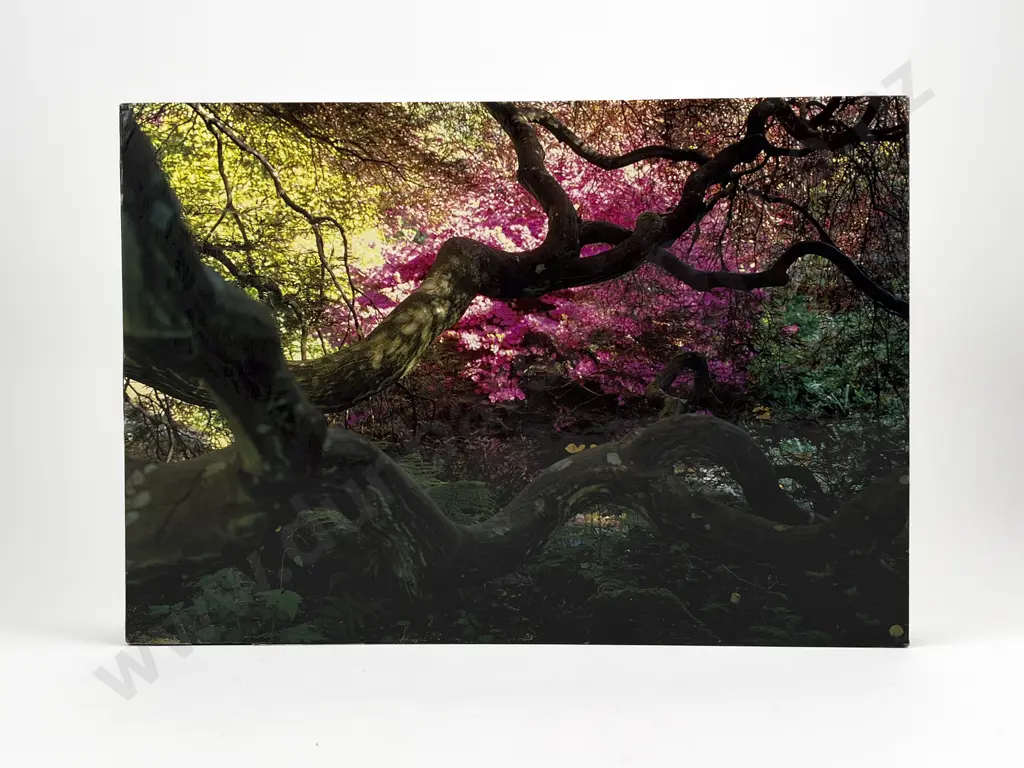 A Gardener's Labyrinth by T Traeger & P Kinmonth Image 1++