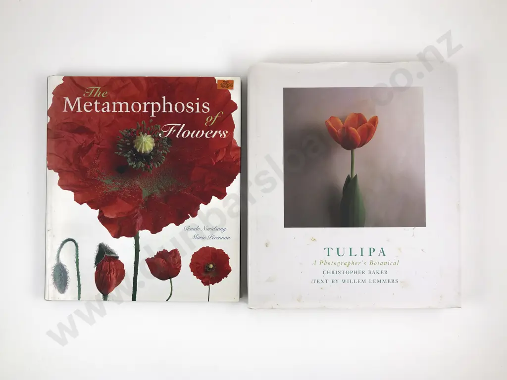 Tulipa by Christoper Baker & The Metamorphosis of Flowers by Claude Nuridsany Image 1++