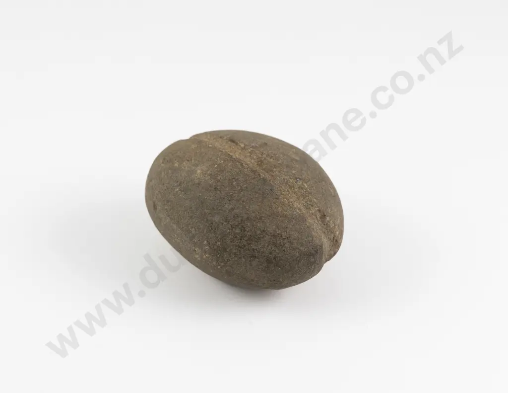 A Large Mahe (Stone Sinker) Image 1++