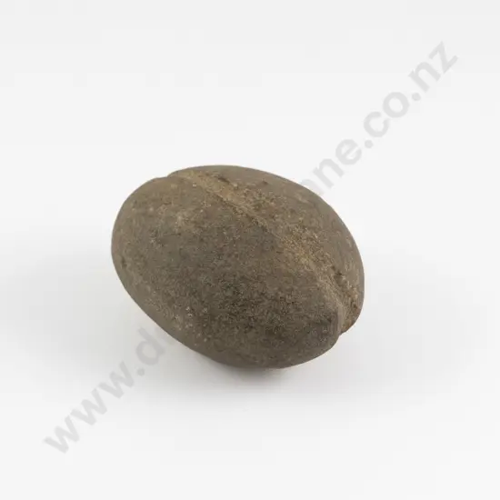 A Large Mahe (Stone Sinker)