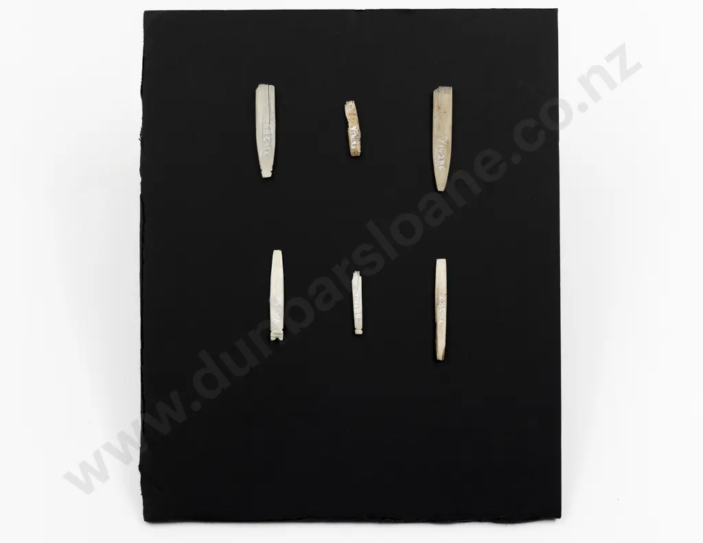 Six Bone Uhi (Ta Moko Chisels) Image 1++