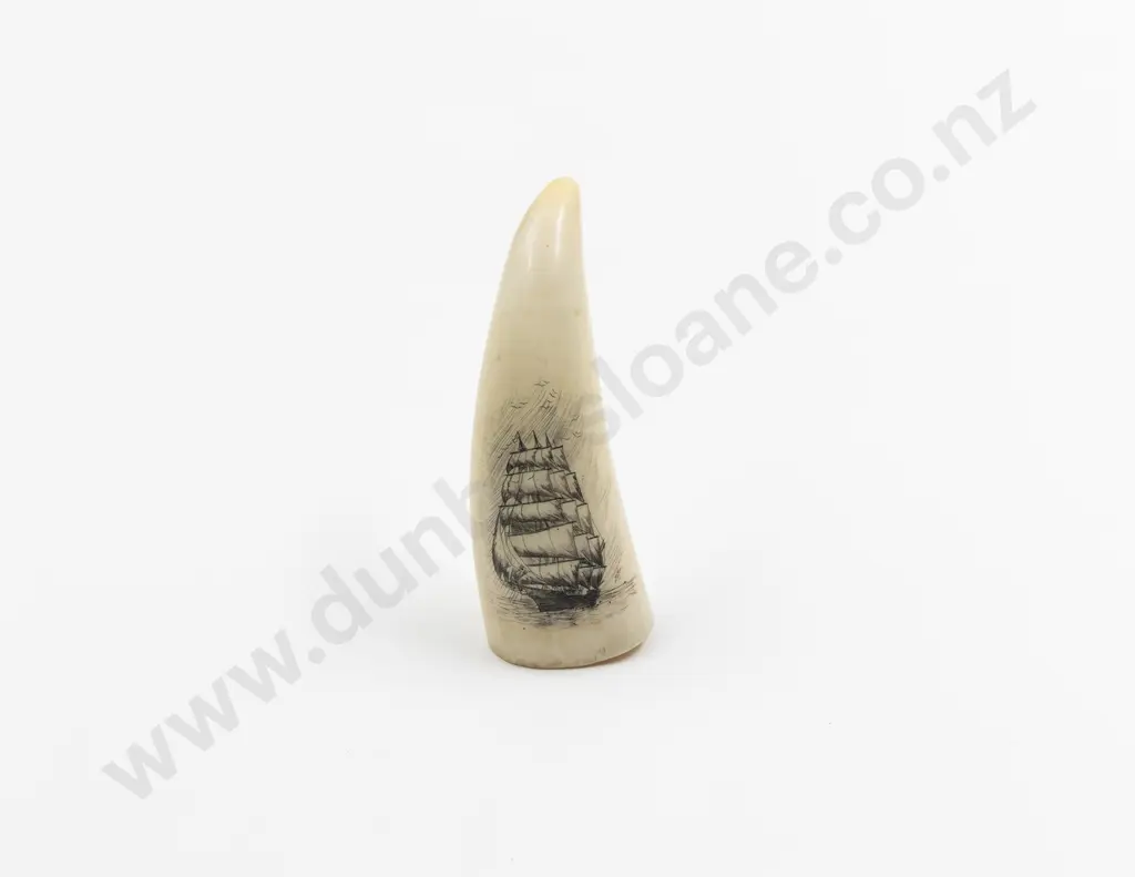 Sperm Whale Scrimshawed Tooth Image 1++