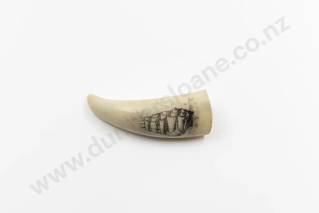 Sperm Whale Scrimshawed Tooth Image 1++