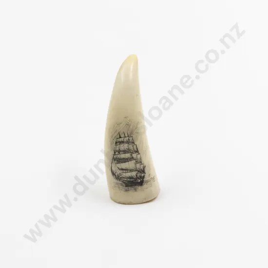 Sperm Whale Scrimshawed Tooth