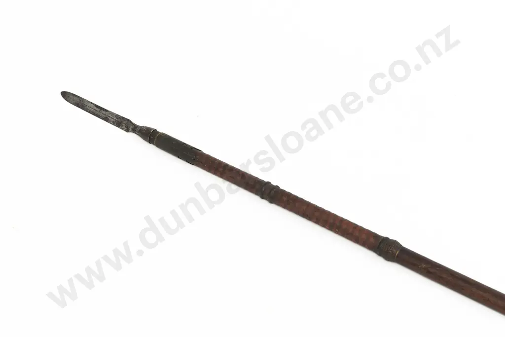 An African Spear Image 1++