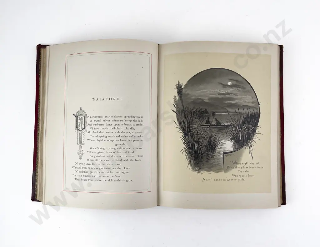 Bracken Thomas - Musings In Maoriland Image 1++
