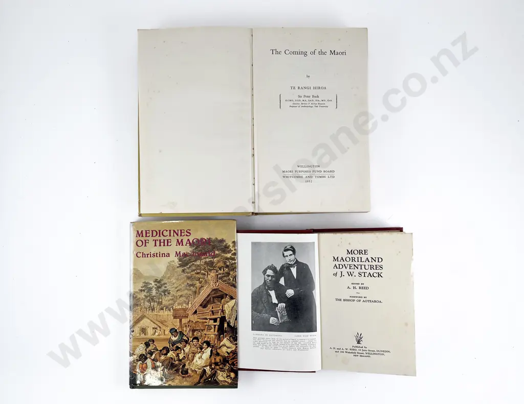 Macdonald Christina - Medicines Of The Maori Image 1++