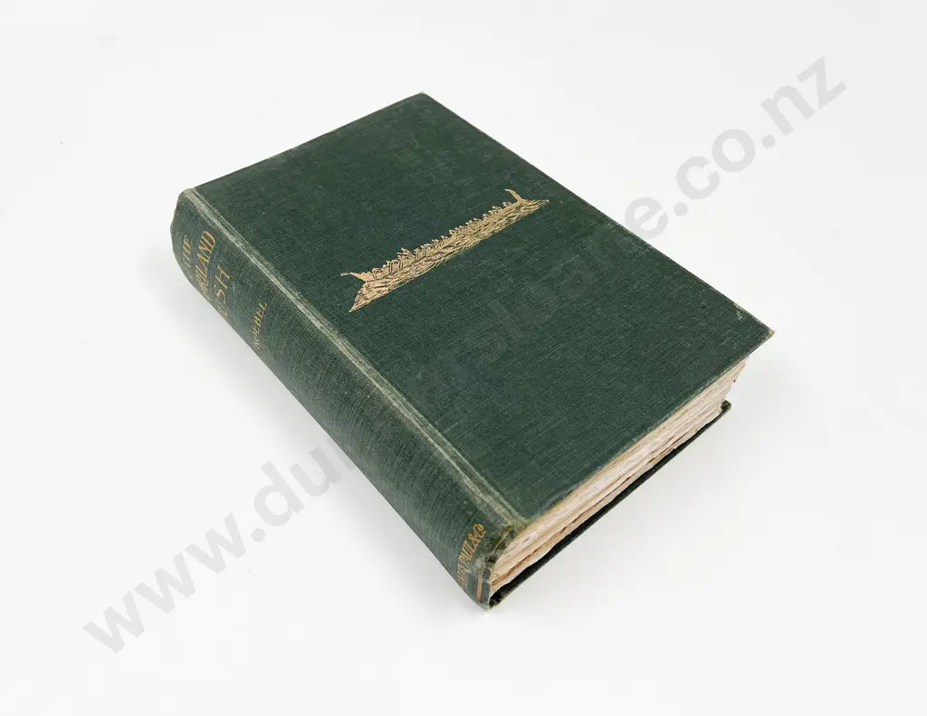Koebel W H - In The Maoriland Bush Image 1++