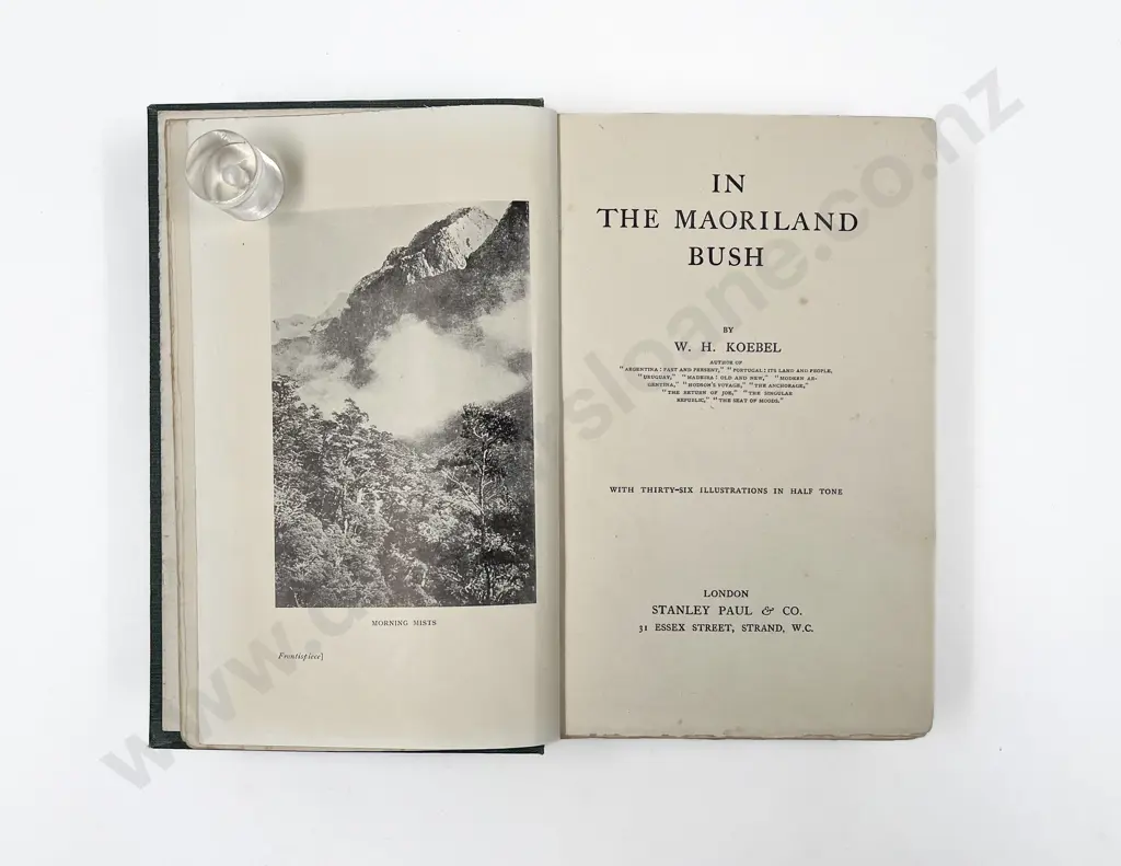 Koebel W H - In The Maoriland Bush Image 1++
