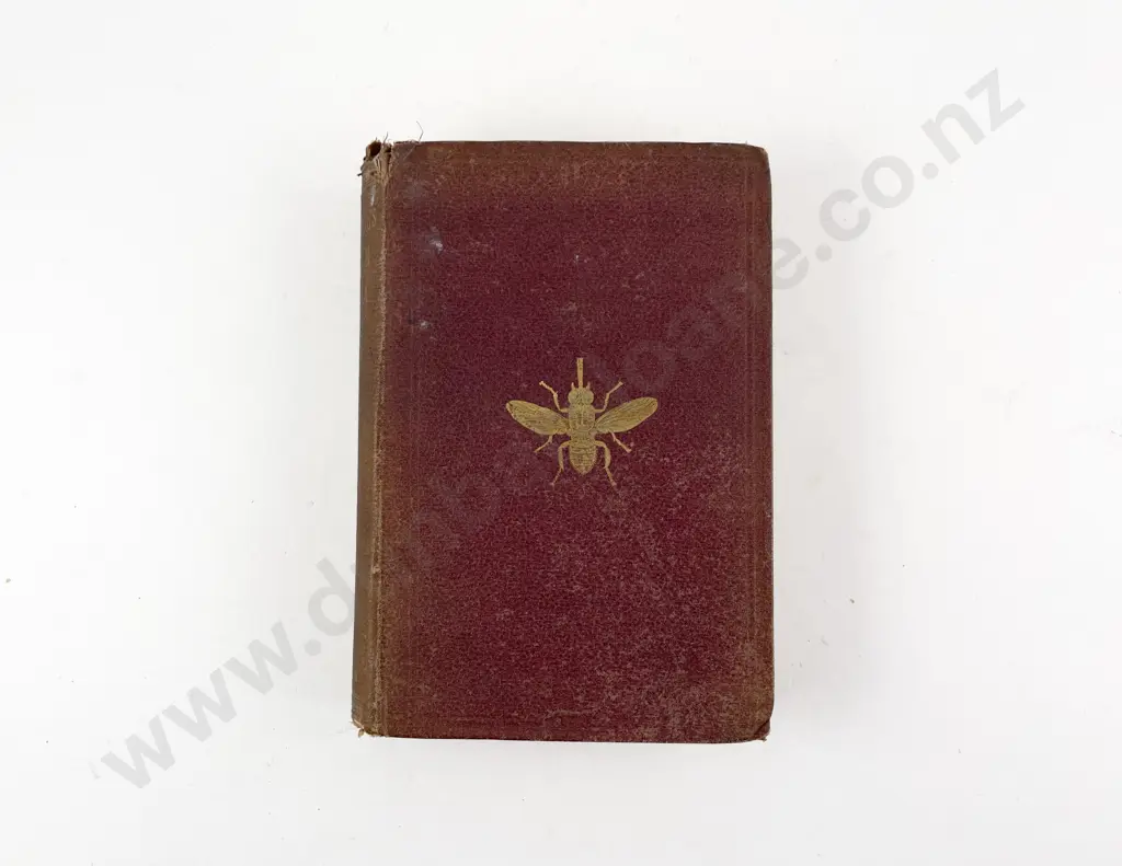 Livingstone David - A Popular Account of Missionary Travels And Researches in South Africa Image 1++