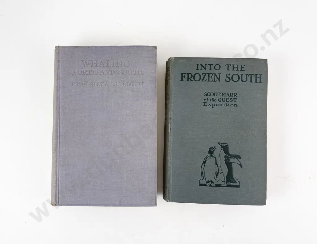 Into The Frozen South By Scout Marr Image 1++