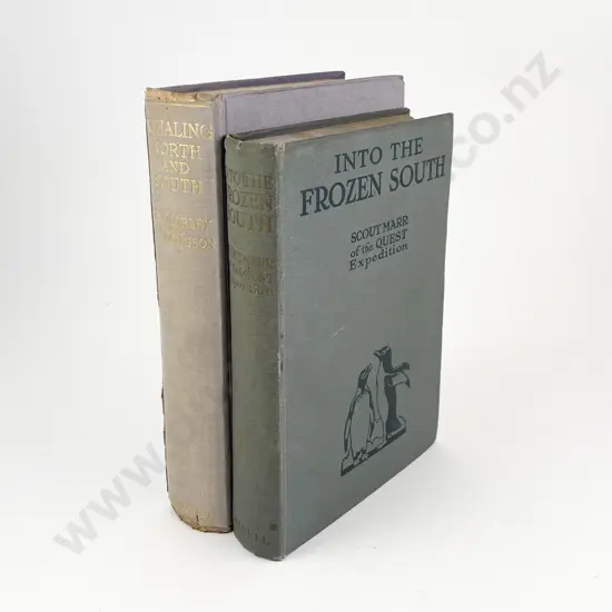 Into The Frozen South By Scout Marr