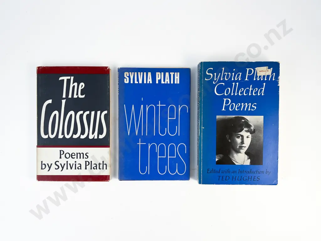 3 Volumes By Sylvia Plath Image 1++