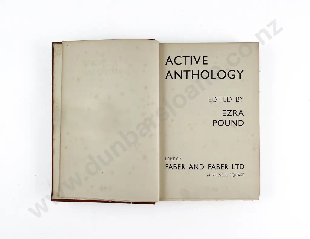 Pound Ezra - Active Anthology Image 1++