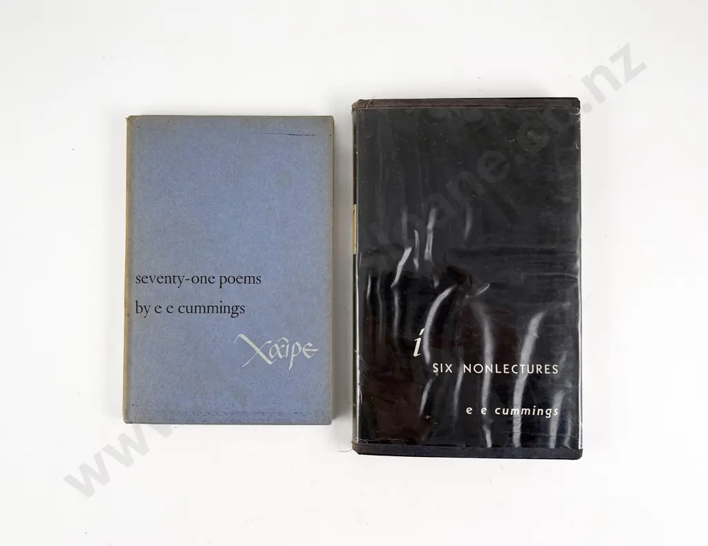 2 Volumes By E E Cummings Image 1++