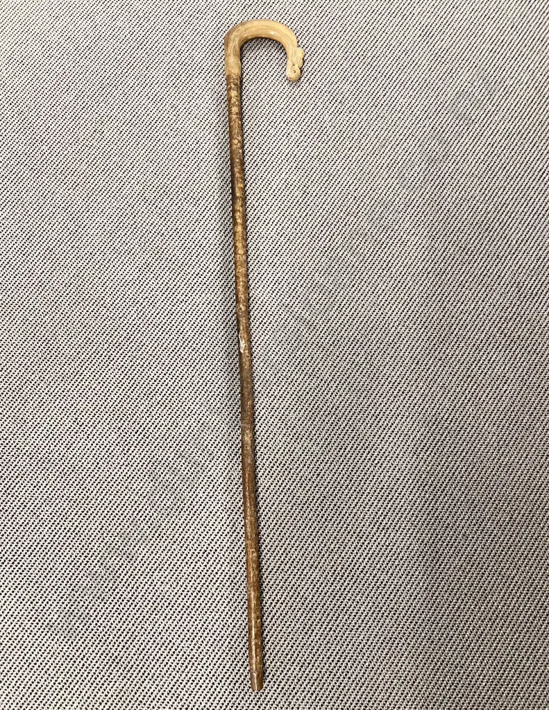 Carved Vintage Walking Stick Image 1++