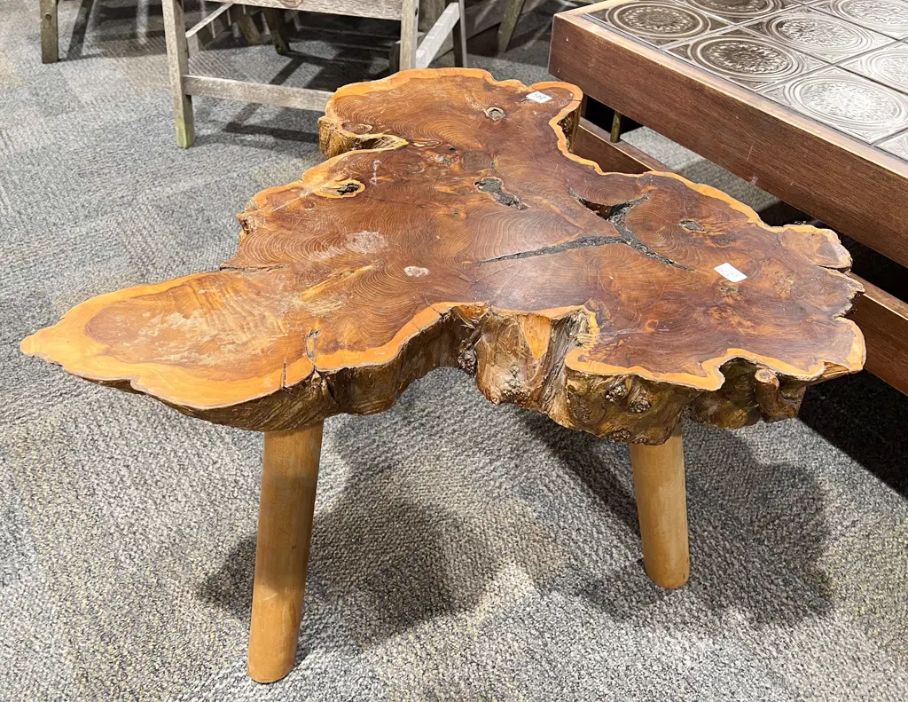 Natural Form Wood Slab Coffee Table Image 1++