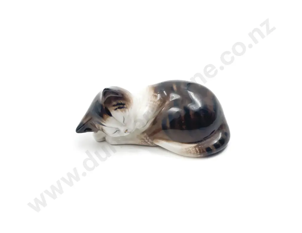 Small RD Cat Image 1++