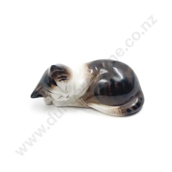 Small RD Cat