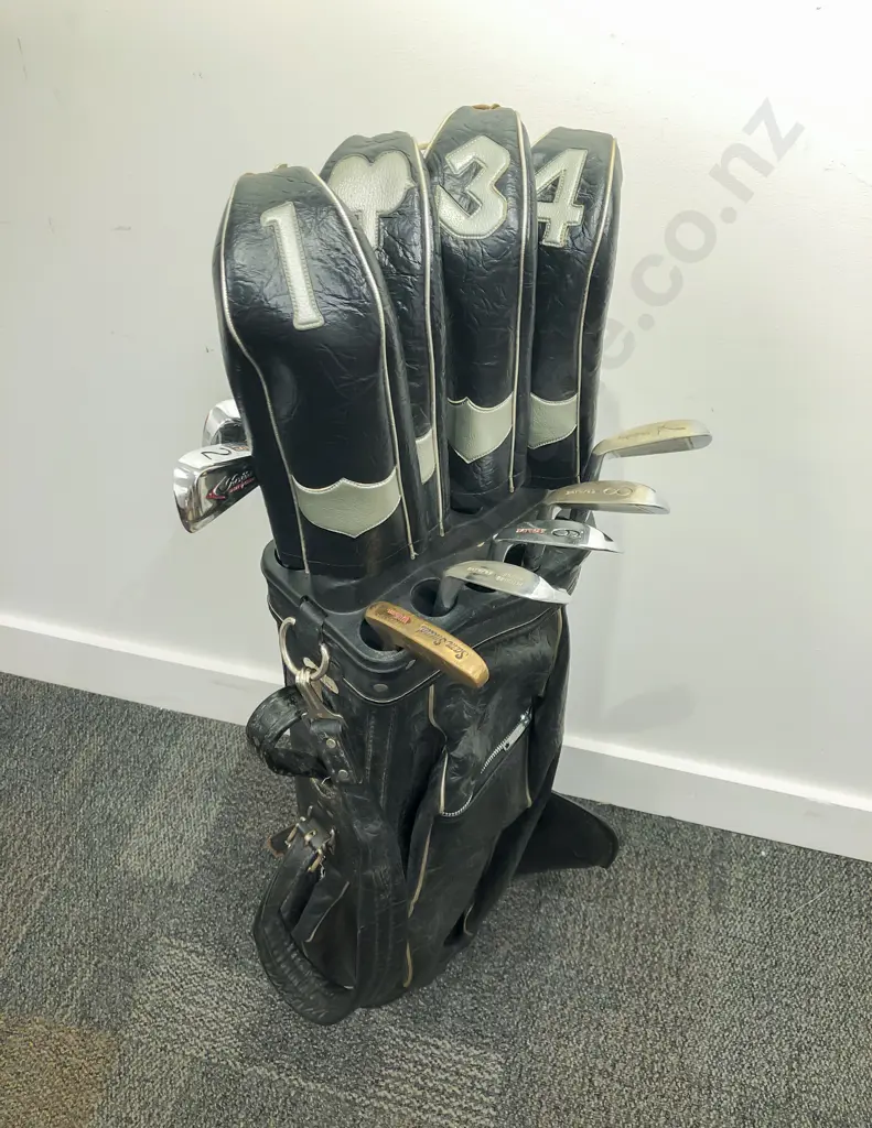 Vintage Golf Clubs and Bag Image 1++