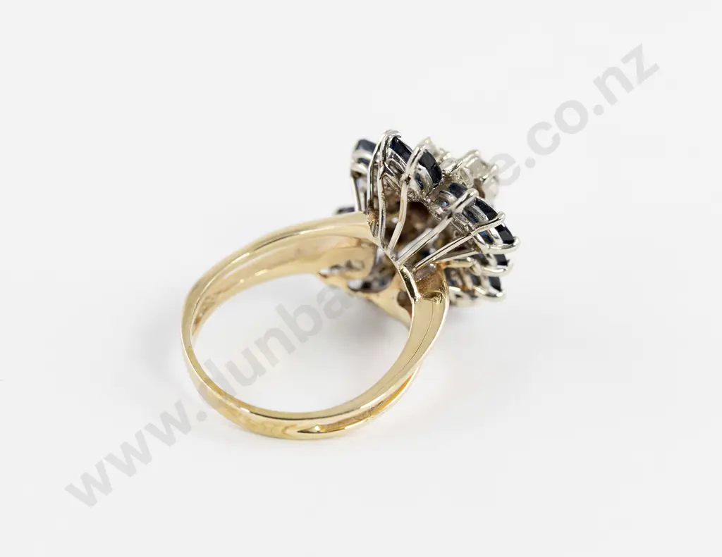 14ct 26Stone Sapphire & Diamond Dress Ring Image 1++