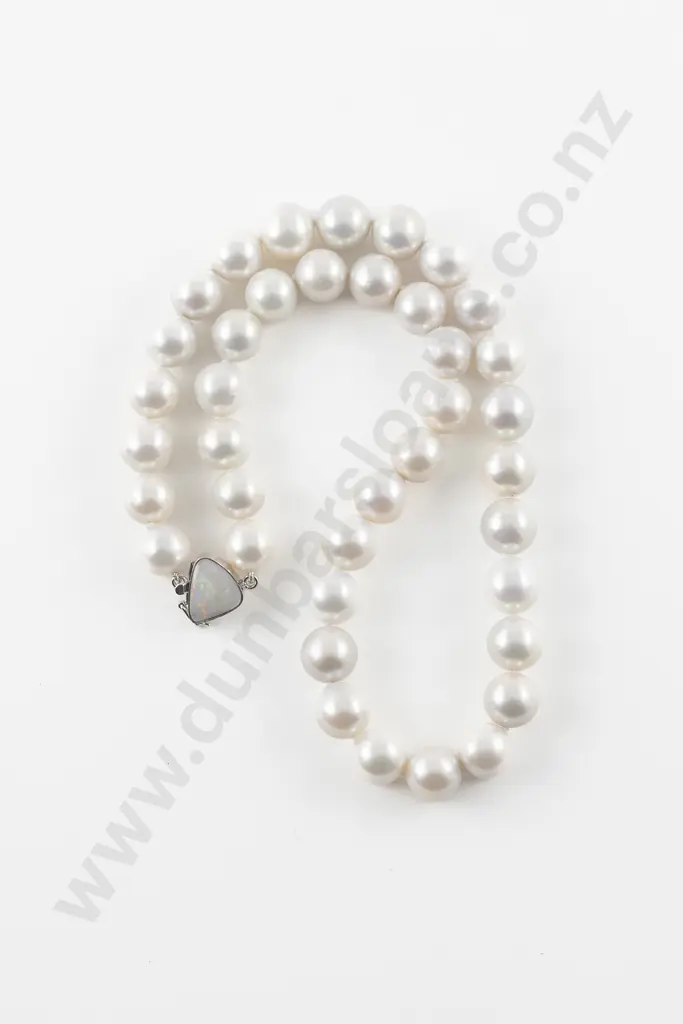 Single Strand Uniform South Sea Cultured Pearl Necklace Image 1++