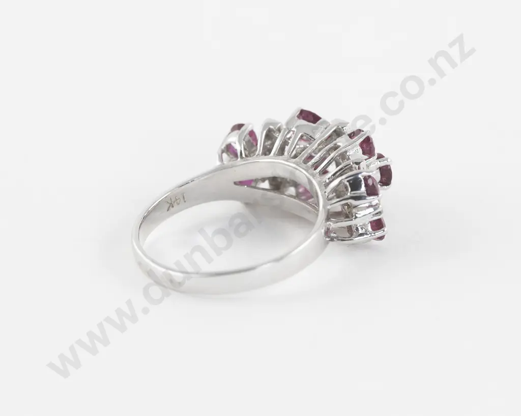 14ct White Gold 25Stone Ruby and Diamond Dress Ring Image 1++