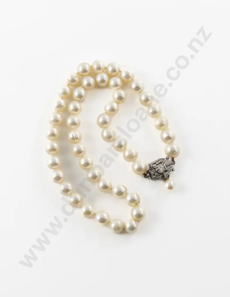 Single Strand Uniform Cultured Pearl Necklace Image 1++