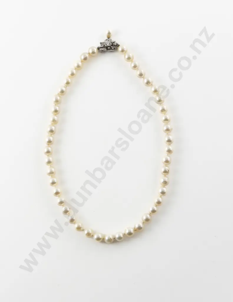 Single Strand Uniform Cultured Pearl Necklace Image 1++