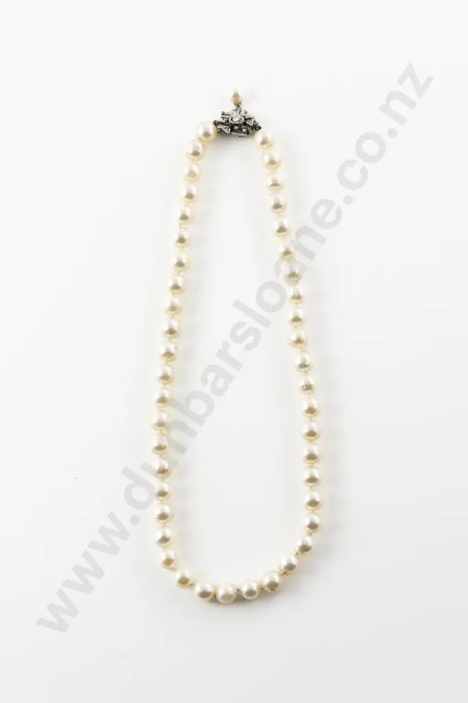 Single Strand Uniform Cultured Pearl Necklace Image 1++