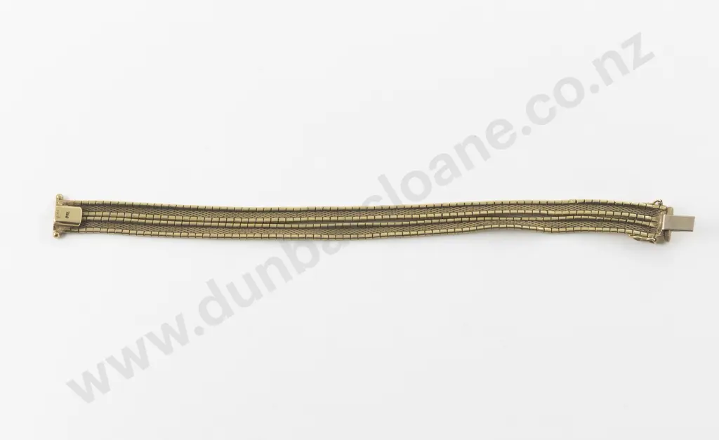 18ct Double Strand Omega Type Link Bracelet Image 1++