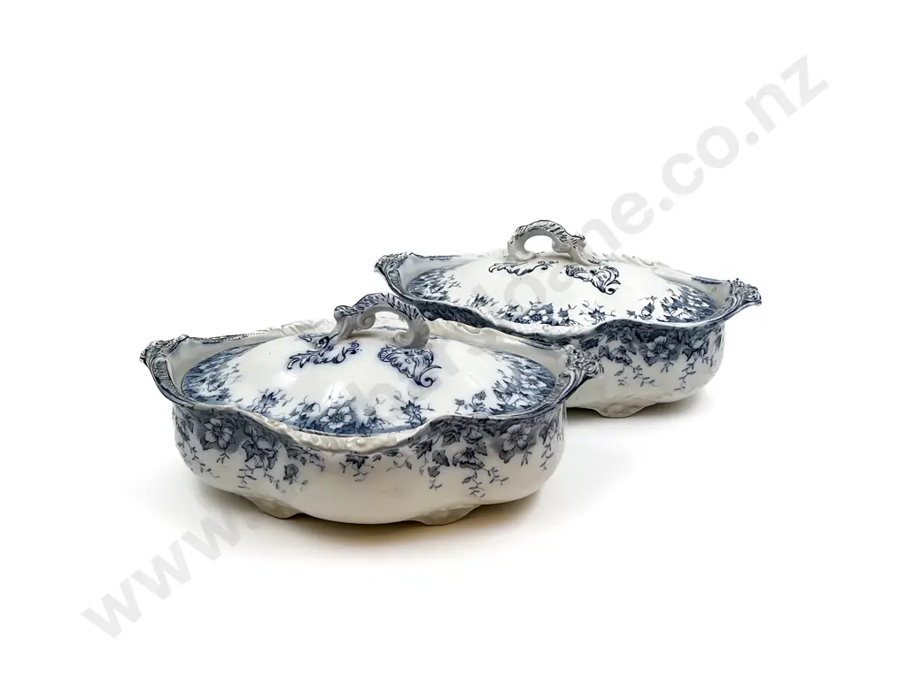 Pair of Blue and White Vegetable Tureens Image 1++
