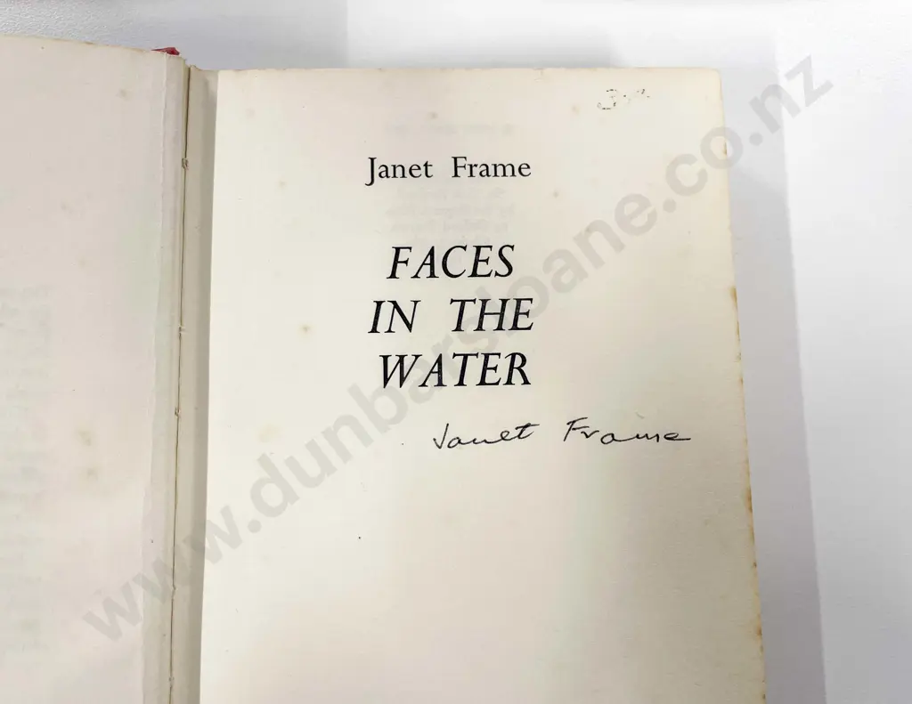 Janet Frame "Faces in the Water" Image 1++