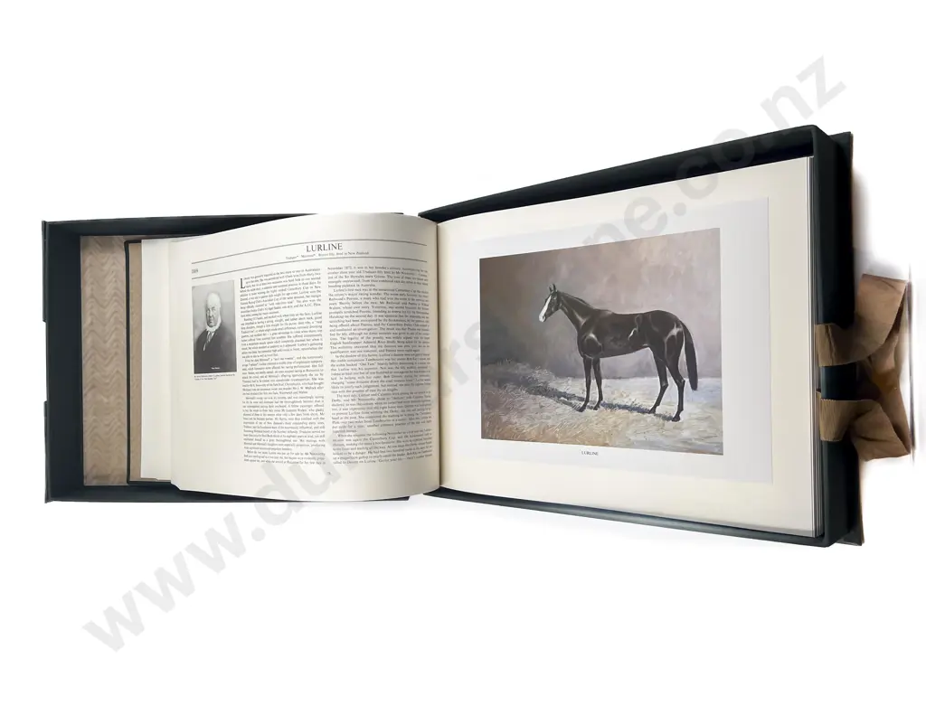 Notable NZ Thoroughbreds - Alister Taylor Image 1++