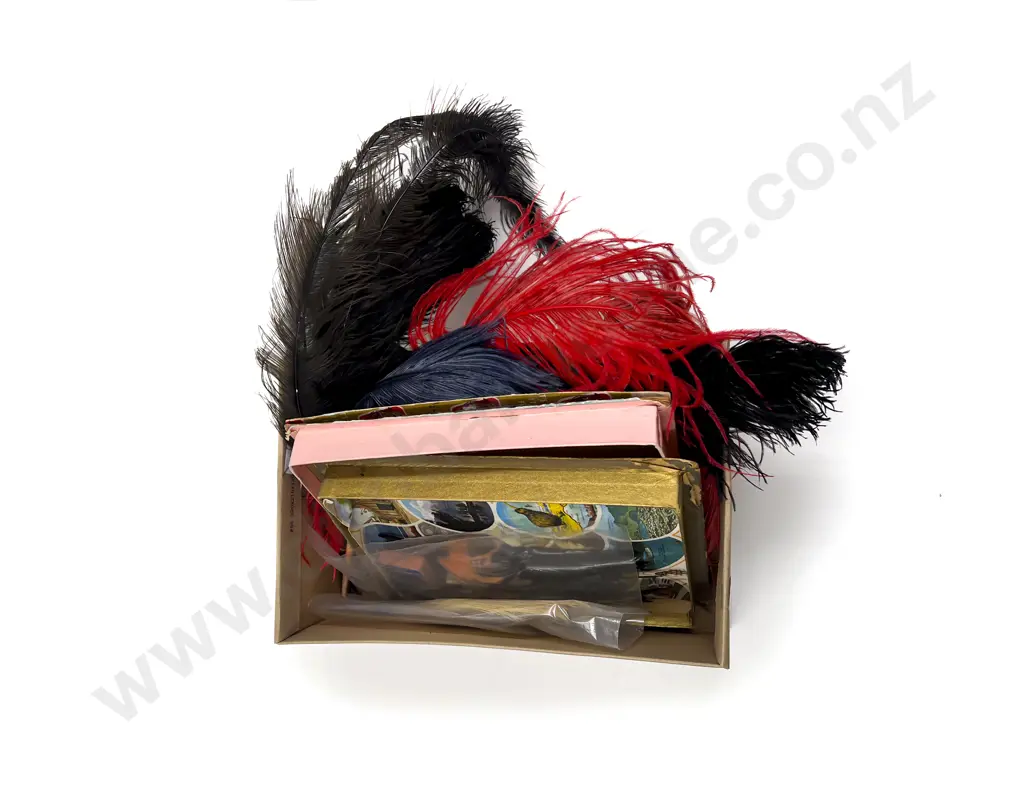 Quantity of Assorted Vintage Dress Feathers Image 1++