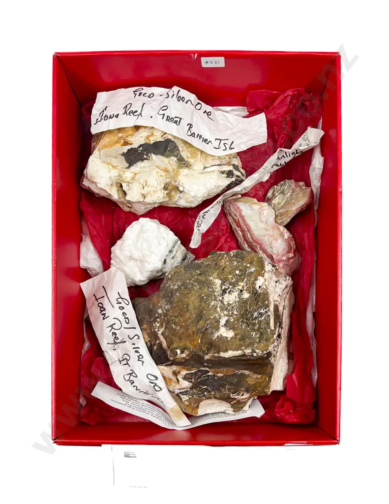 Box Quantity of Assorted Gold/Ore Specimens from Iona Reef Image 1++